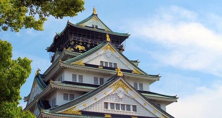 Esplendores de Japón (Festival de Takayama) - Trafalgar 9