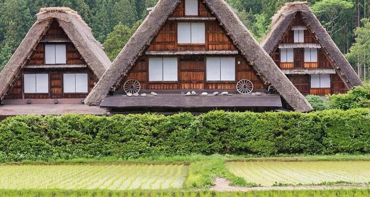 Fermes traditionnelles en bois de style Gassho-zukuri avec des toits de chaume pentus, situées contre une forêt verdoyante et des rizières fraîchement plantées.