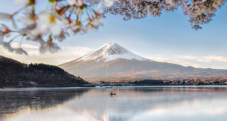 Le mont Fuji avec des fleurs de cerisier pendant la journée.