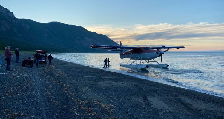 Alaska: Ocean Wildlife to Interior Wilderness Adventure - 9 Days - BrushBuck Wildlife Tours 8