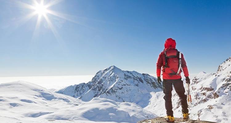 Alaska: Ocean Wildlife to Interior Wilderness Adventure - 9 Days - BrushBuck Wildlife Tours 9