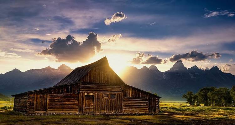 Yellowstone / Grand Teton 4 jours / 3 nuits d'aventure pour la faune et la flore - BrushBuck Wildlife Tours 4