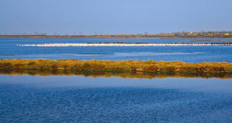 Tour de Provence et de Camargue à vélo et en péniche : d'Aigues- Mortes à Avignon - Girolibero - Cycling holidays 4