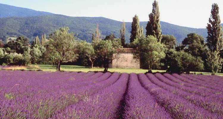 Cyclisme dans les villages perchés de Provence - Exodus Adventure Travels 6