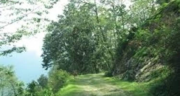 Himalaya harmonieux - Holidays At 7