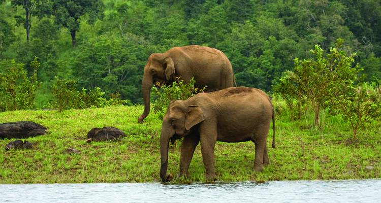 Kerala Backwater With Exotic Beaches - Holidays At 4
