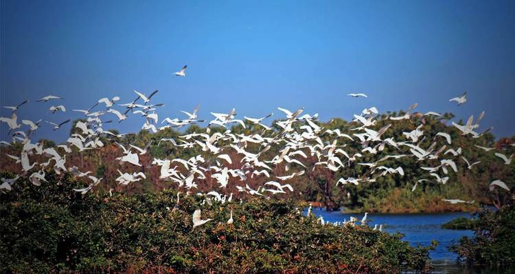 Backwaters and Beaches of Kerala - Holidays At 3