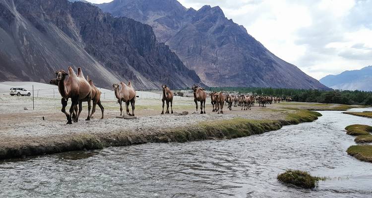 Leh Ladakh - Best of Tibet Experience - Holidays At 9