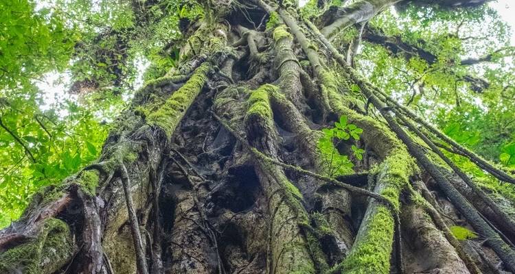 Le meilleur du Costa Rica - Intrepid Travel 5