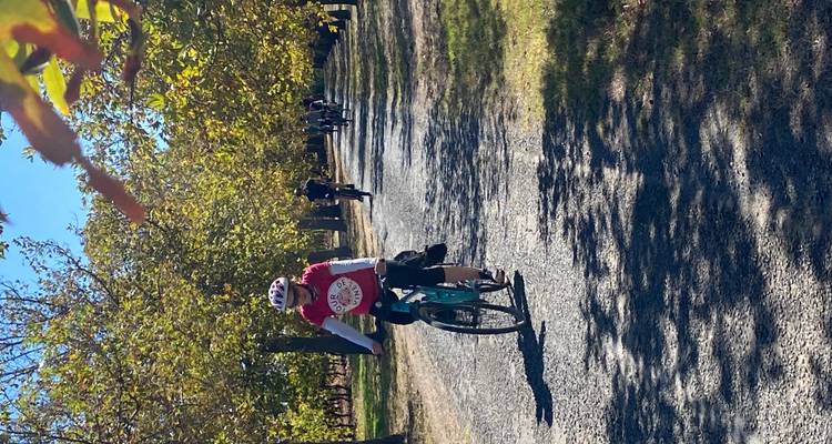Tour de South Australia Vineyards - Self Guided 5N/7D - Tour de Vines 8