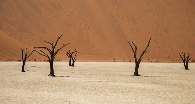 3-Day Sossusvlei Experience (lodging) - Discovery Transfers and Tours 4