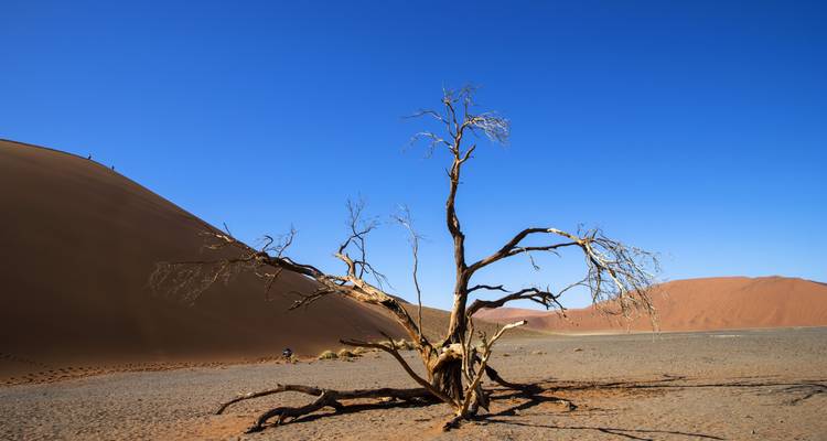 3-Day Sossusvlei Experience (lodging) - Discovery Transfers and Tours 3