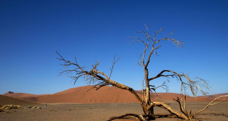 3-Day Sossusvlei Experience (lodging) - Discovery Transfers and Tours 6