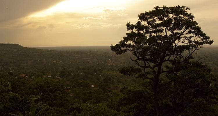 7D/6N Primate Uganda Safari - Pita Safaris 8