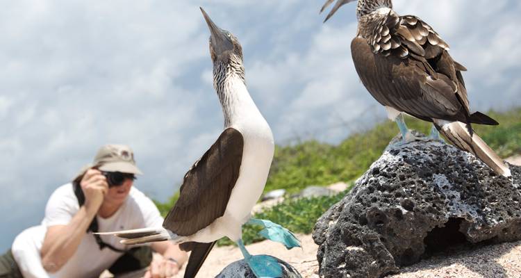 Fotograf, der zwei Blaufußtölpel auf sandigem Galápagos-Boden fotografiert.