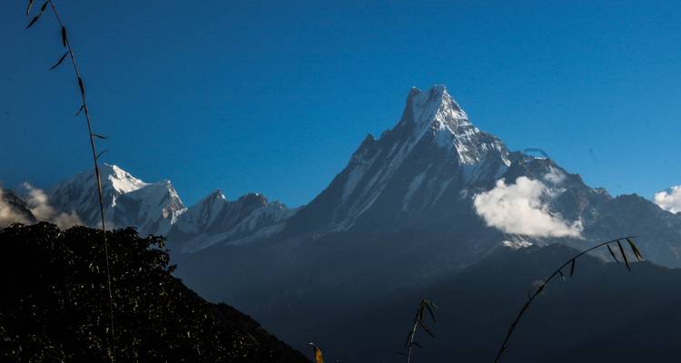 Best Nepal Annapurna Base Camp Trek 11 Days - Scenic Nepal Treks & Expedition Pvt. Ltd 4