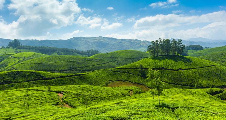 Tour of Kerala - Holidays At 9