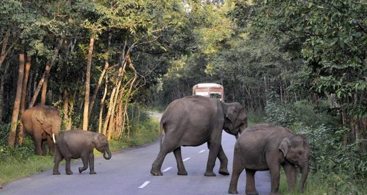 30 Days Trip to South India and North India - Holidays At 9