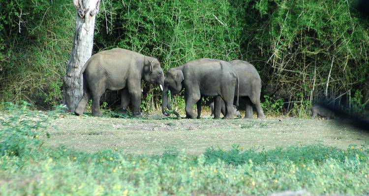 30 Days Trip to South India and North India - Holidays At 10