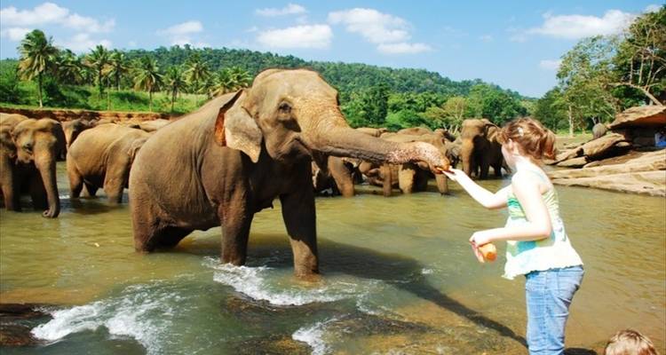Blissful Sri Lanka - Aitken Spence Travel 3