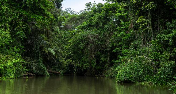 Costa Rica at its Best Package - Central American Tours 4