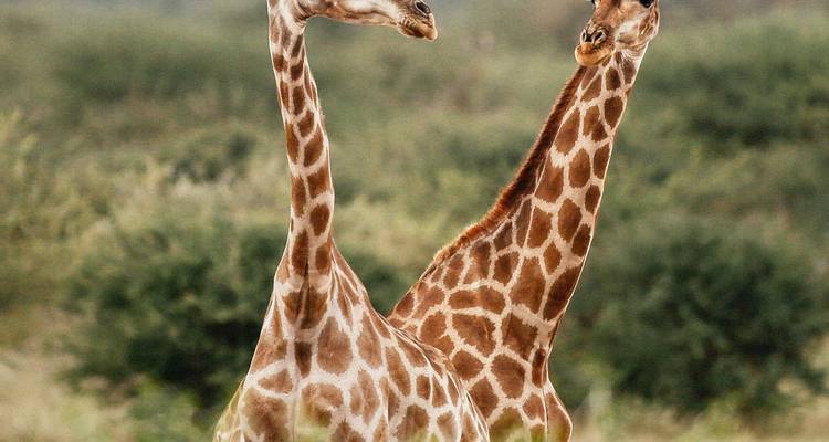 African Adventure Namibia  (Accommodation, Transport & Activities Included) - Junita's Extreme Adventures Namibia cc 7