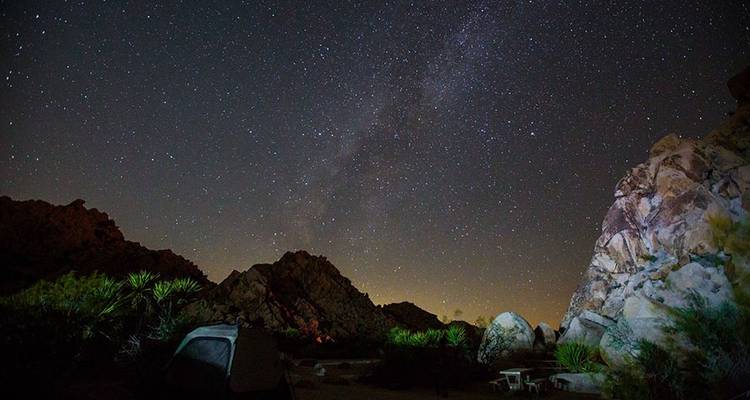 Excursion au camp de base de Joshua Tree - Wildland Trekking 7