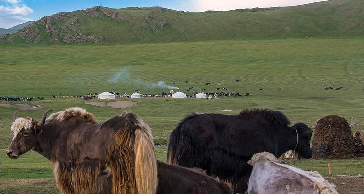 "Adventure tour Mongolia" with Naadam festival - Nomadic of Blue Sky 3