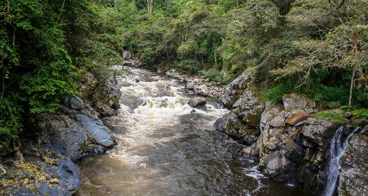 8 jours Des ruines à la torréfaction : La voie colombienne - Responsible Travel South America 4