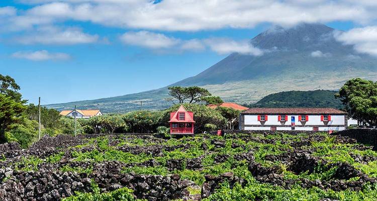 Les points forts des Açores (from Ponta Delgada to Île de Faial) - Intrepid Travel 6