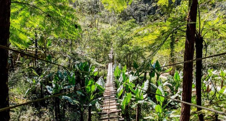Canal Pangalanes Voyage extraordinaire - Green Island Discovery 10