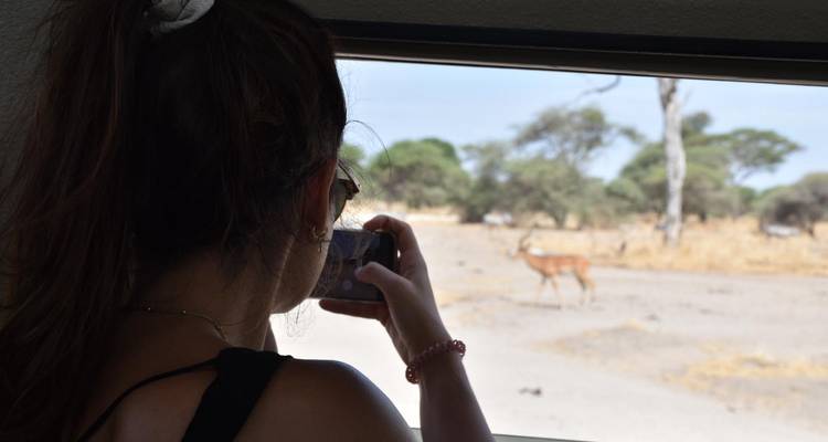 Person taking a photograph of wildlife from a safari vehicle.