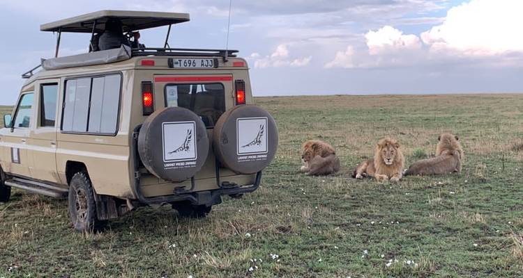 5 jours - - Lappet Faced Safaris 1