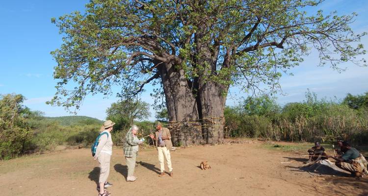7-Day Tanzania Photographic Safari Holidays - Mid Range - Lappet Faced Safaris 8