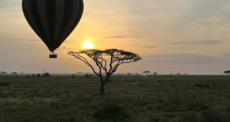 7-Day Tanzania Photographic Safari Holidays - Mid Range - Lappet Faced Safaris 10