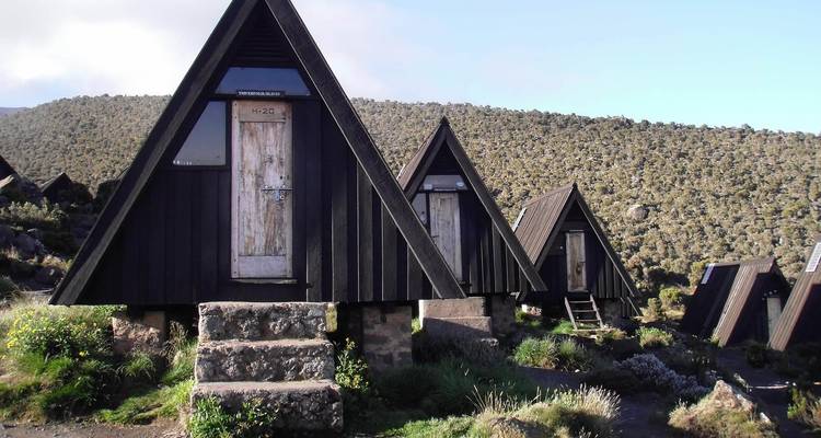 Escalar el Kilimanjaro : 8 días Ruta Marangu - All Weather Adventures 3