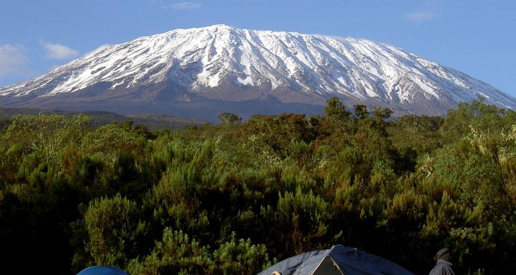 Escalar el Kilimanjaro : 8 días Ruta Marangu - All Weather Adventures 2