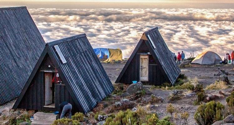 Escalar el Kilimanjaro : 8 días Ruta Marangu - All Weather Adventures 1