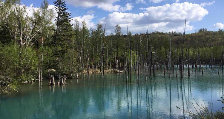Espectacular primavera de Hokkaido - 8 días - Supera Tours 6