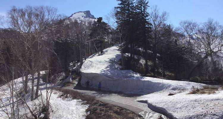 Espectacular primavera de Hokkaido - 8 días - Supera Tours 4