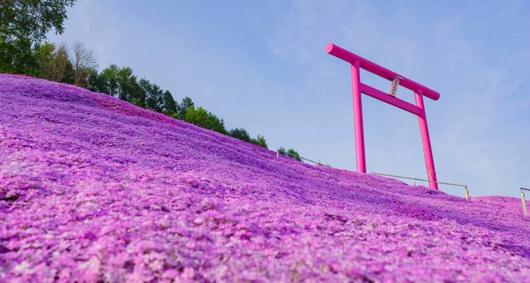 Espectacular primavera de Hokkaido - 8 días - Supera Tours 1