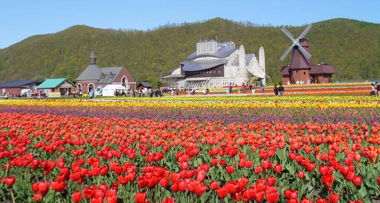 Espectacular primavera de Hokkaido - 8 días - Supera Tours 2