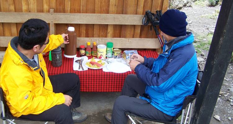 Ascension du Mont Kilimandjaro en groupe via la route Machame - 9 jours - Tanzanie (tous les hébergements et transports sont inclus) - Spider Tours and Safaris 7