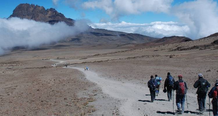 Escalar el Kilimanjaro : 8 días Ruta Umbwe - All Weather Adventures 3