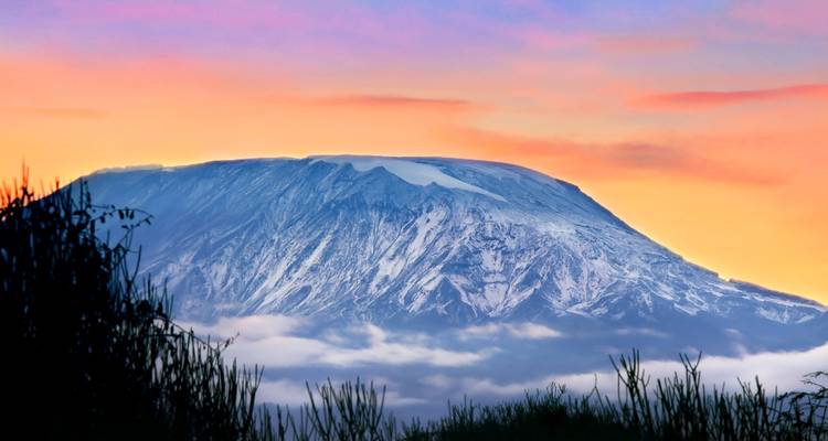 Escalar el Kilimanjaro : 8 días Ruta Umbwe - All Weather Adventures 8