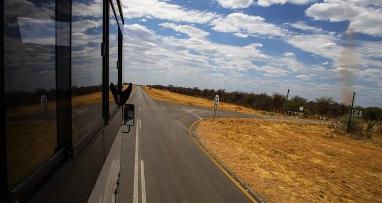 Road seen from the side of a vehicle.