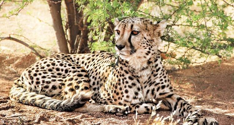 Unique Tanzania Safari - All Weather Adventures 1