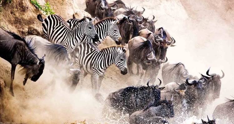 Unique Tanzania Safari - All Weather Adventures 3