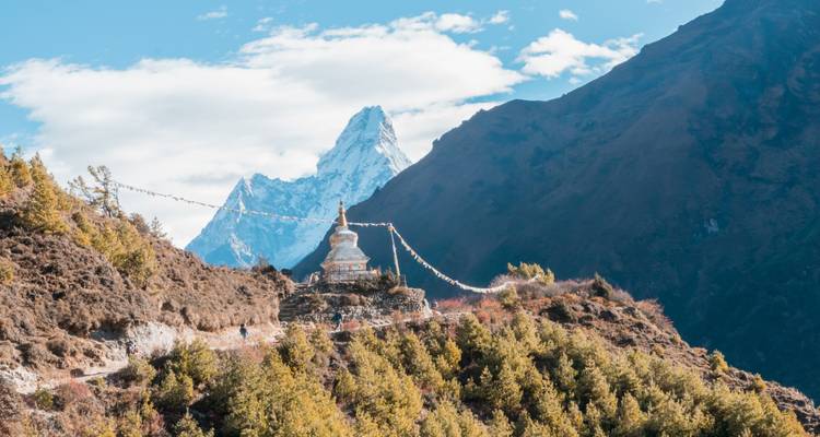 Stupa avec drapeaux de prière sur fond de montagne.