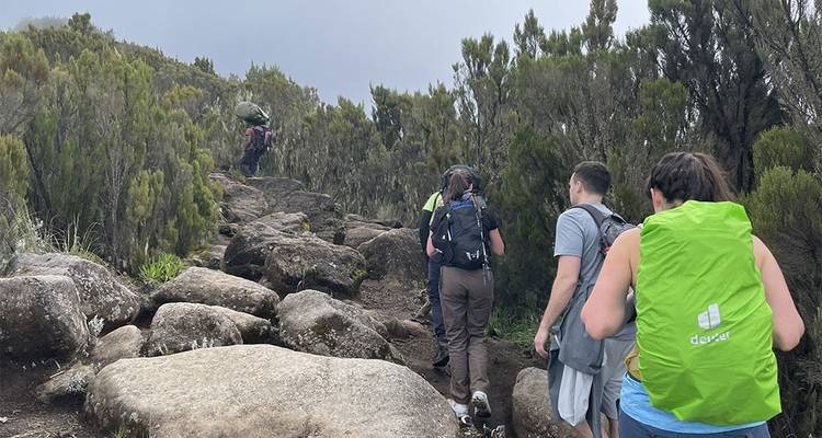 7 Days Kilimanjaro Machame Climb - Nyange Adventures 4
